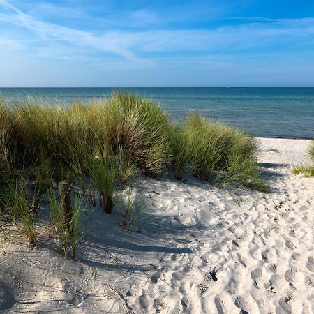 Daenische Ferienhaeuser Am Salzhaff Haus Vogelparadies Insel Poel Esterno foto