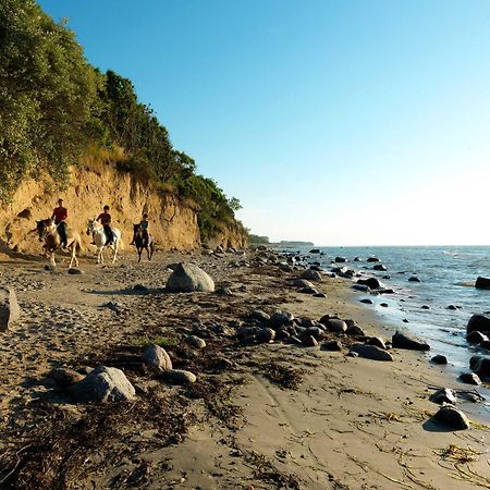 Daenische Ferienhaeuser Am Salzhaff Haus Vogelparadies Insel Poel Esterno foto