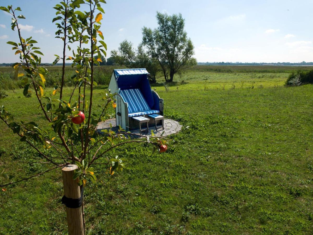 Daenische Ferienhaeuser Am Salzhaff Haus Vogelparadies Insel Poel Esterno foto